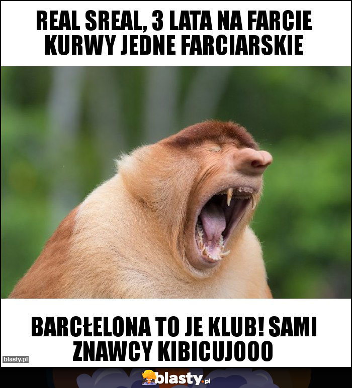 Real sreal, 3 lata na farcie kurwy jedne farciarskie