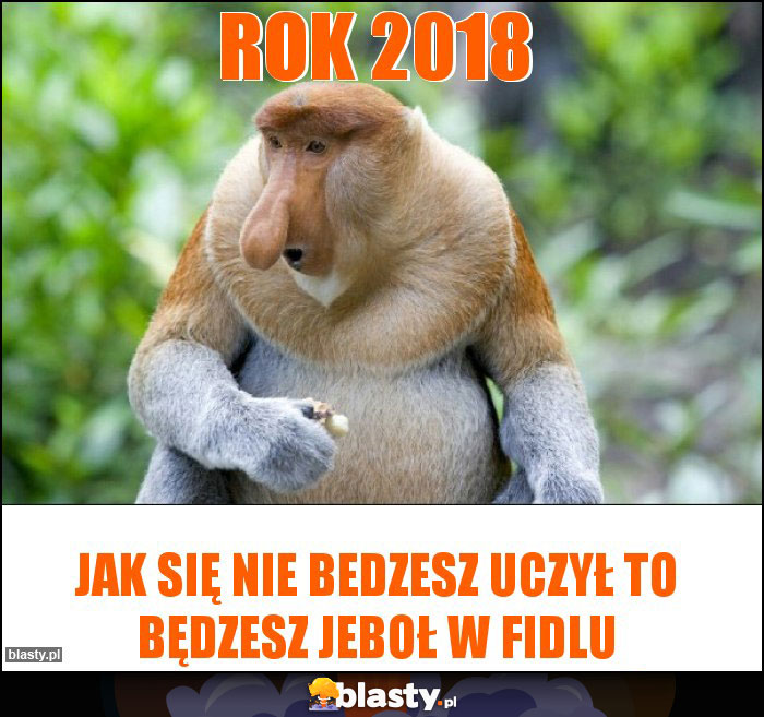 Rok 2018