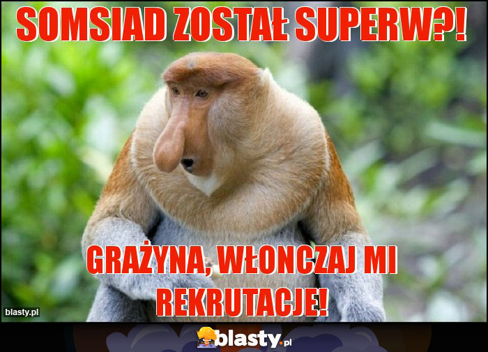 Somsiad został SuperW?!
