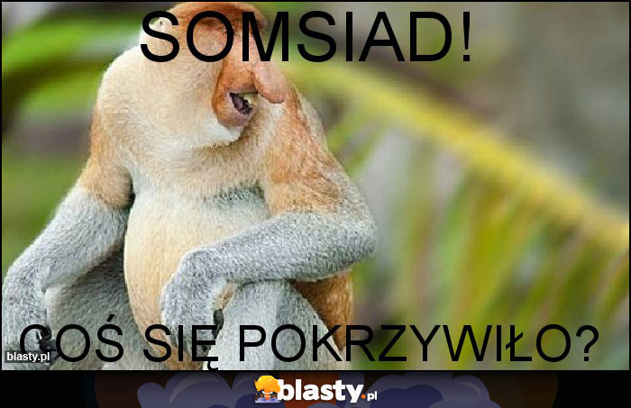 Somsiad!