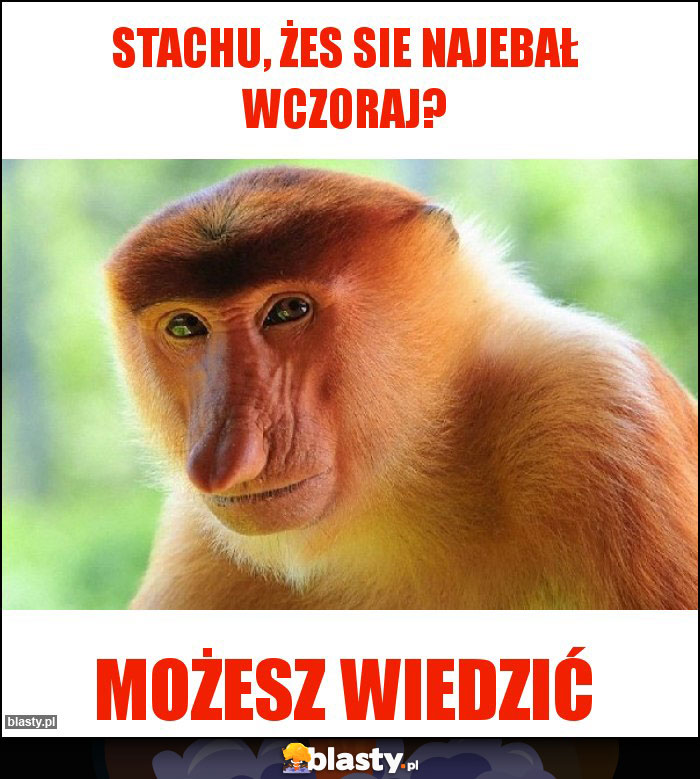 Stachu, żes sie najebał wczoraj?