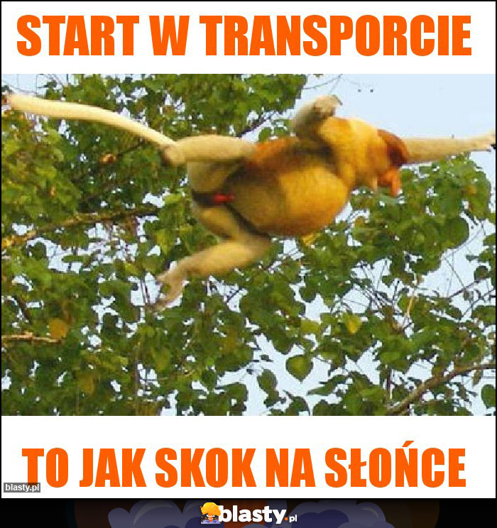 Start w transporcie