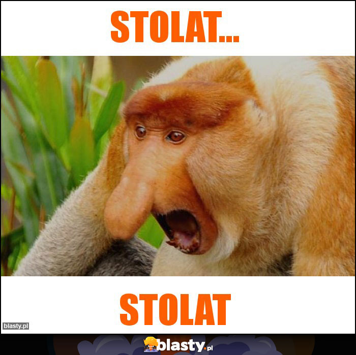 Stolat...