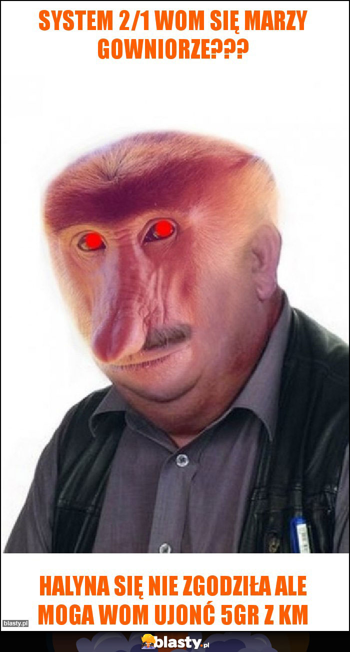 System 2/1 WOM się marzy gowniorze???