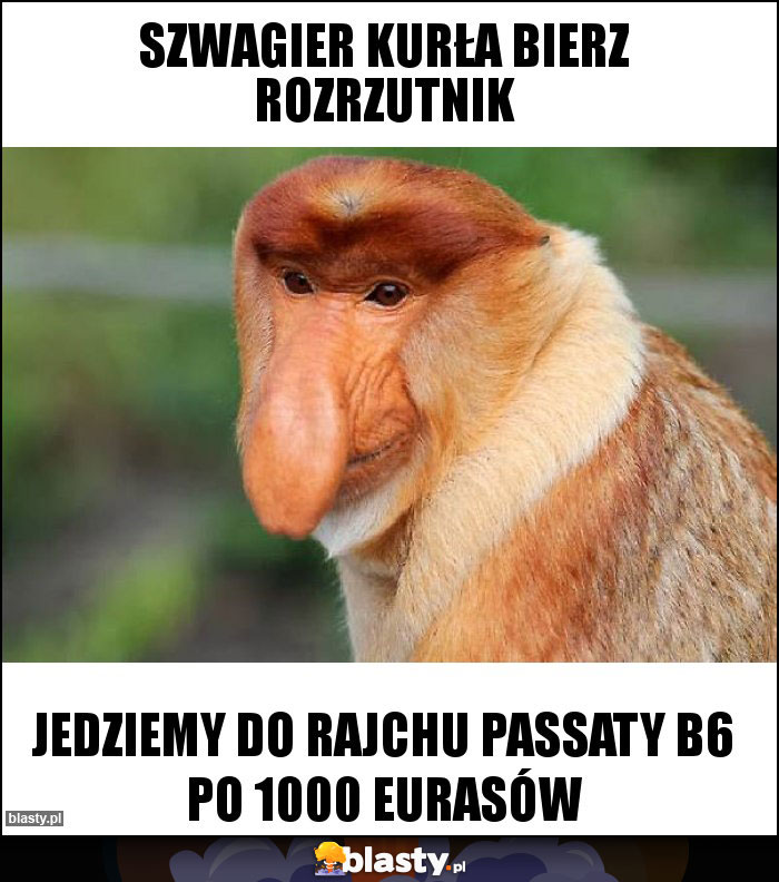 Szwagier kurła bierz rozrzutnik