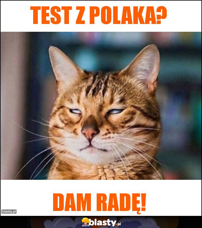 Test z polaka?