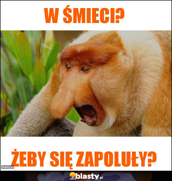 W ŚMIECI?