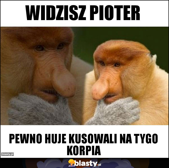 Widzisz pioter