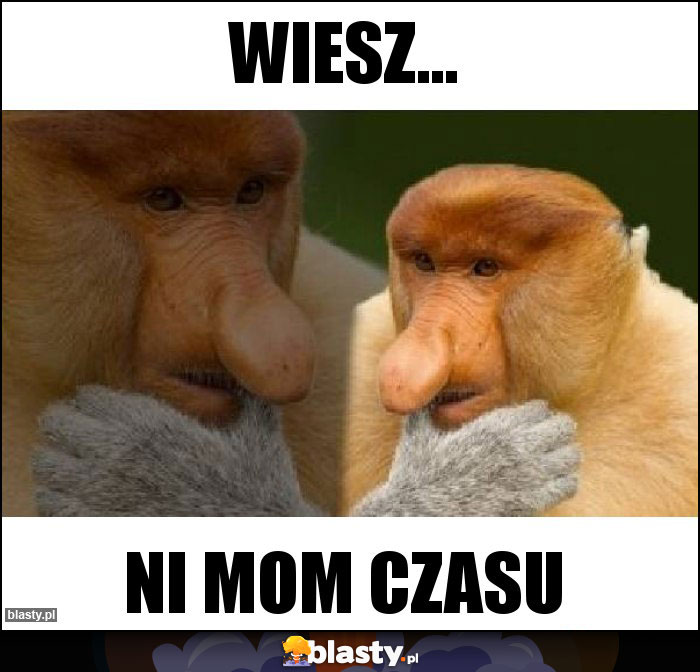 Wiesz...