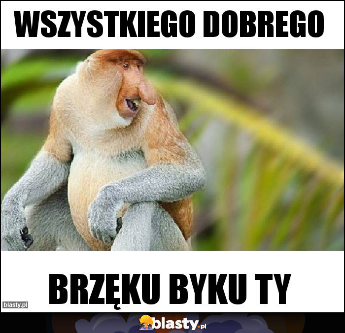 Wszystkiego dobrego