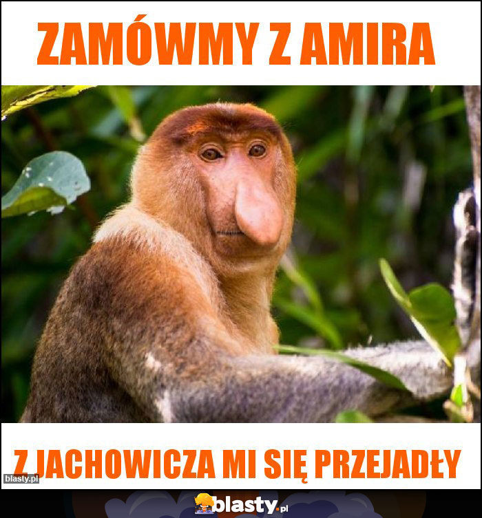 Zamówmy z Amira