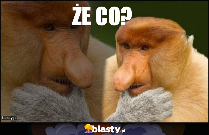 Że co?
