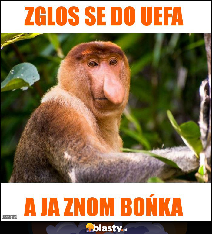 zglos se do uefa