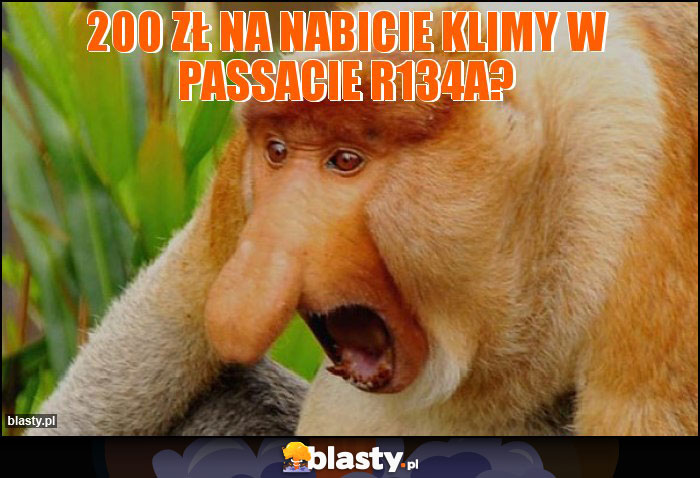 200 zł na nabicie klimy w passacie R134a?