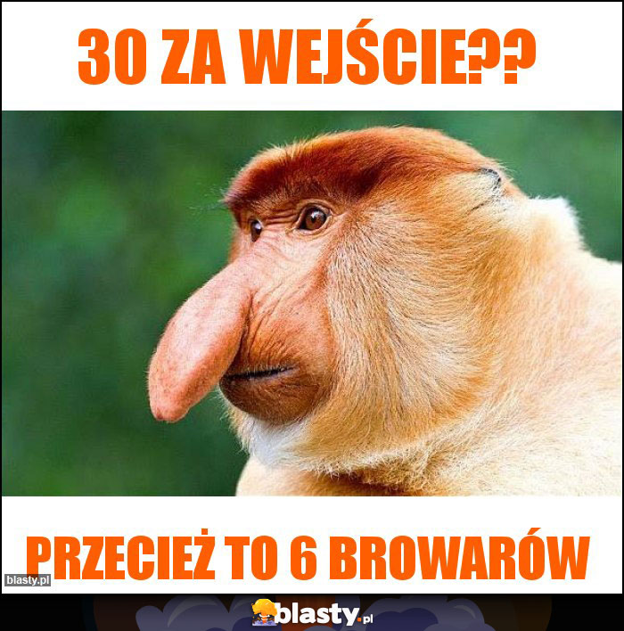 30 ZA WEJŚCIE??