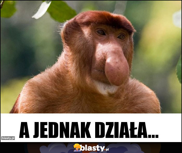 A jednak działa...