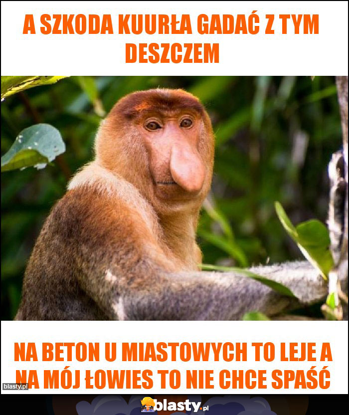 A szkoda kuurła gadać z tym deszczem