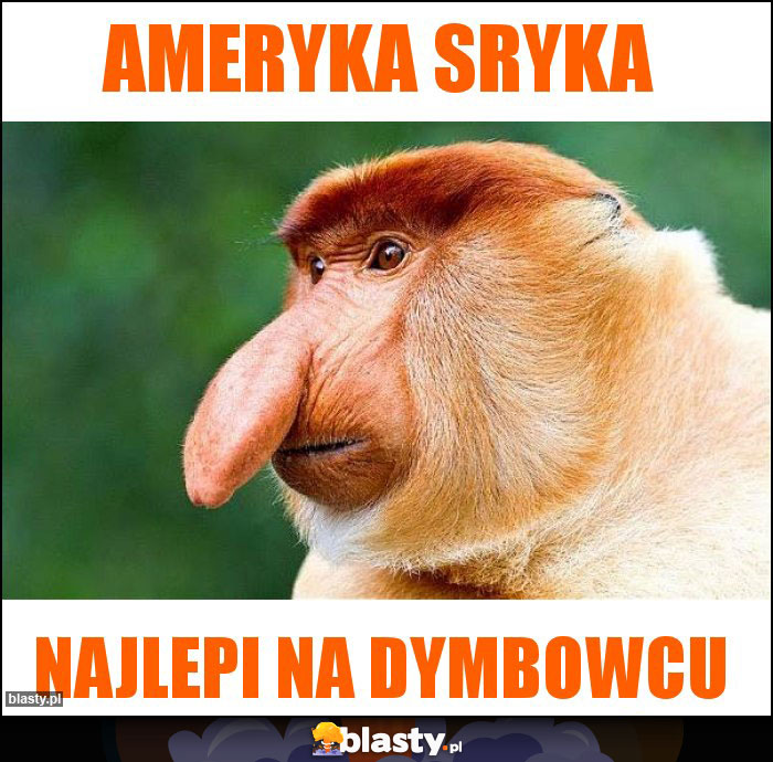 Ameryka sryka