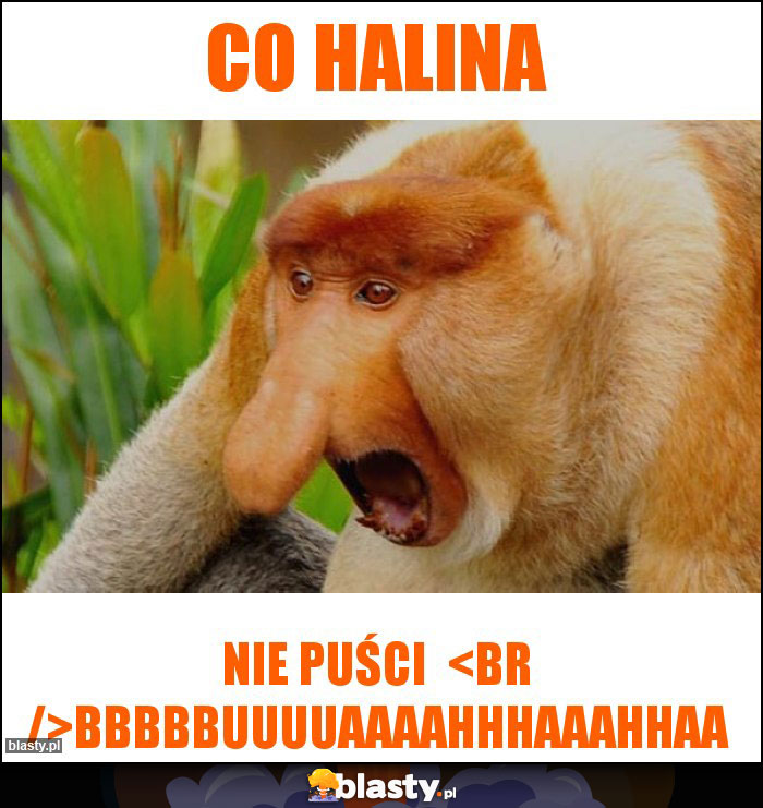 Co Halina