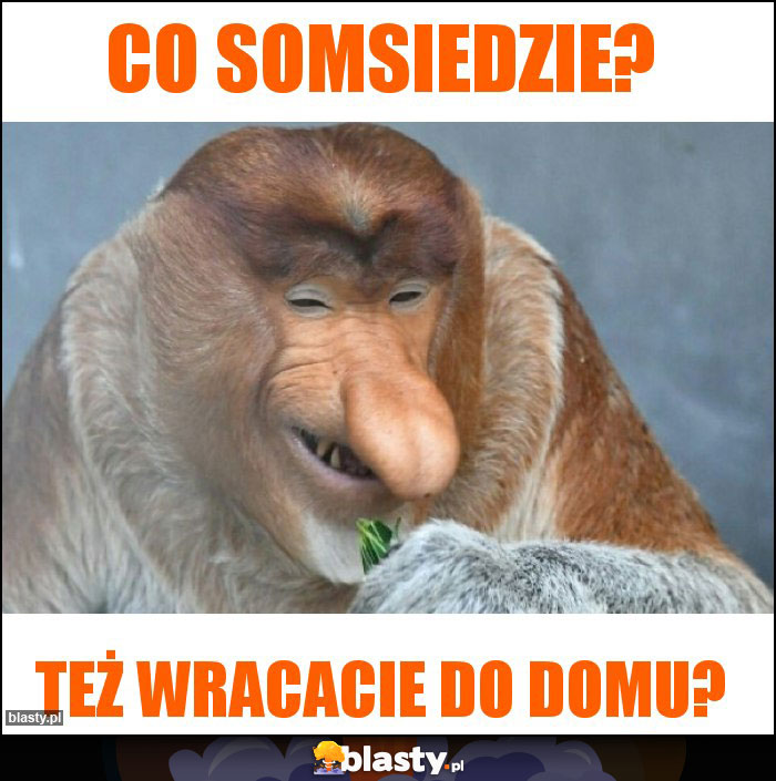 co somsiedzie?