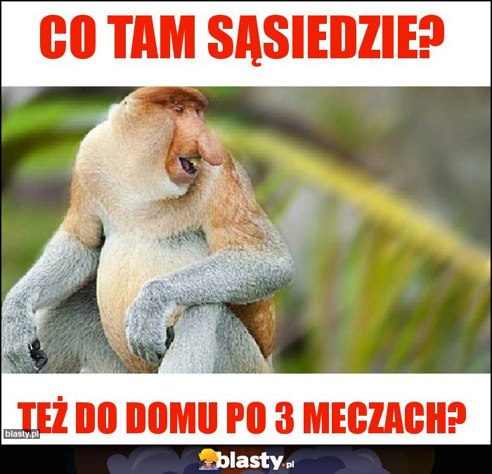 Co tam Sąsiedzie?