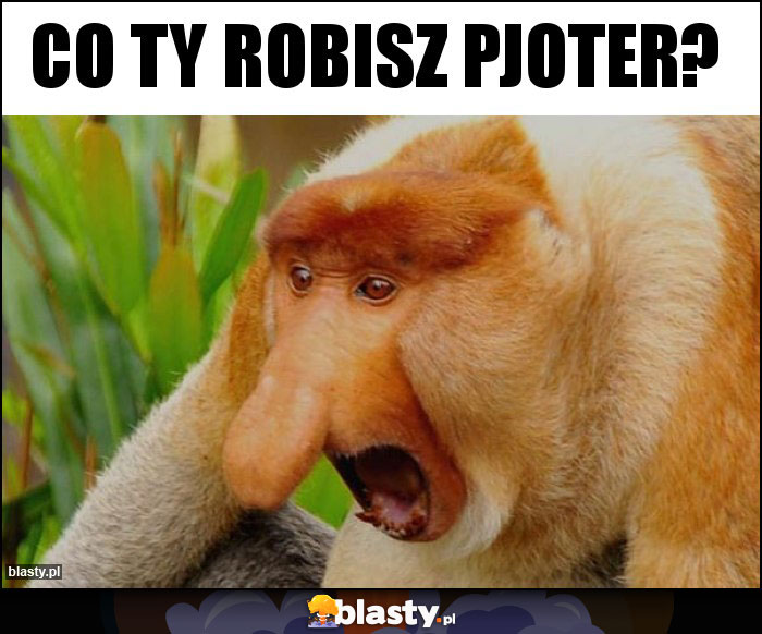 co ty robisz Pjoter?