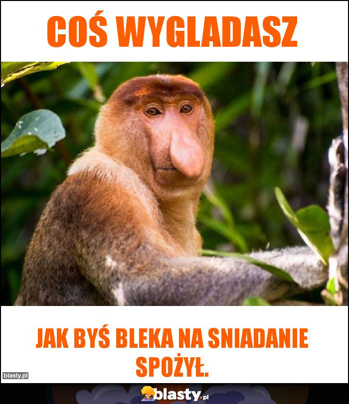 Coś wygladasz
