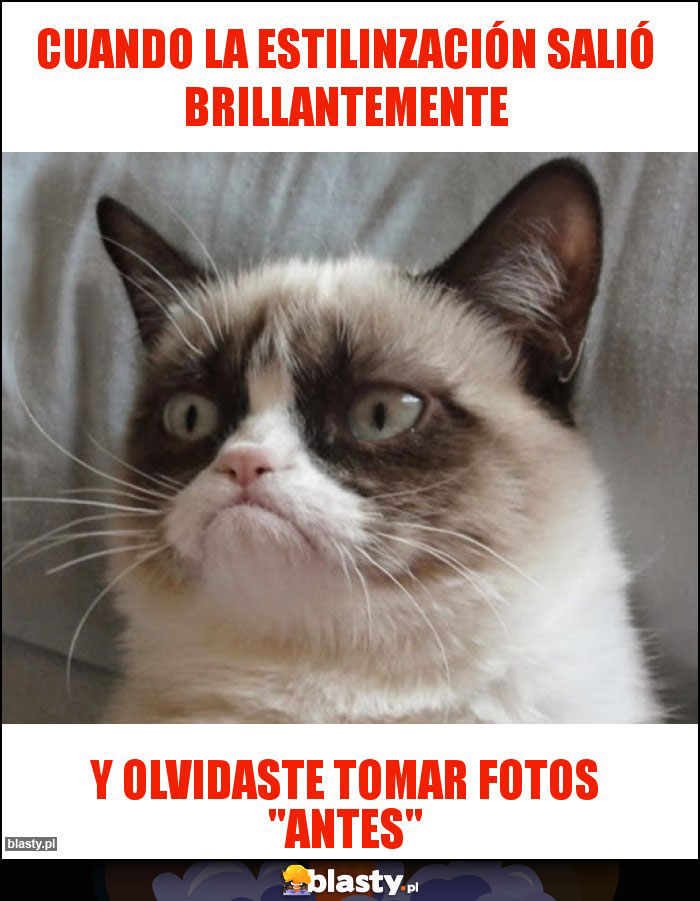 cuando la estilinzación salió brillantemente