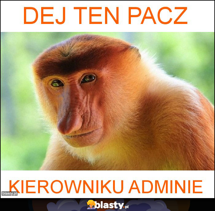 Dej ten pacz