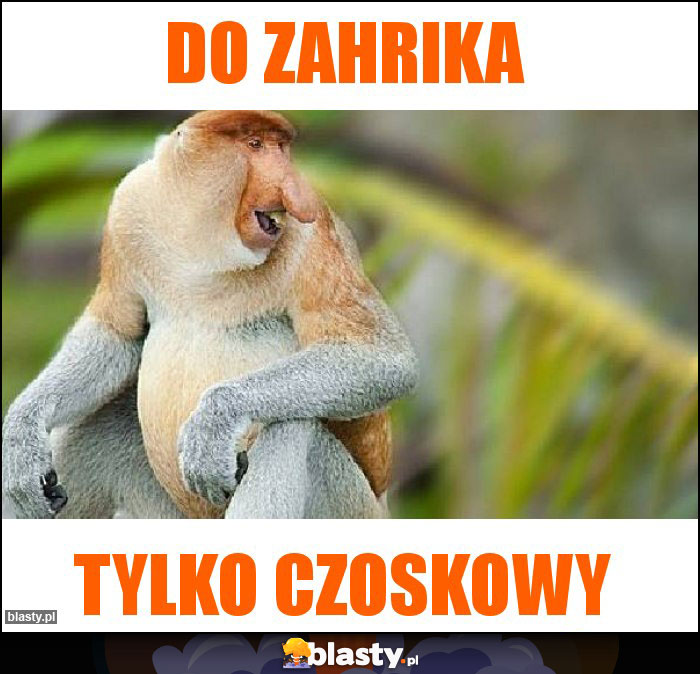 Do Zahrika