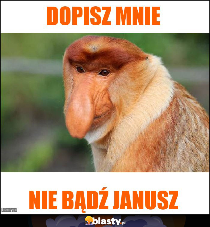 Dopisz mnie