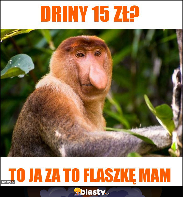Driny 15 zł?