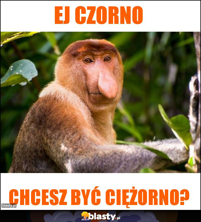 Ej czorno
