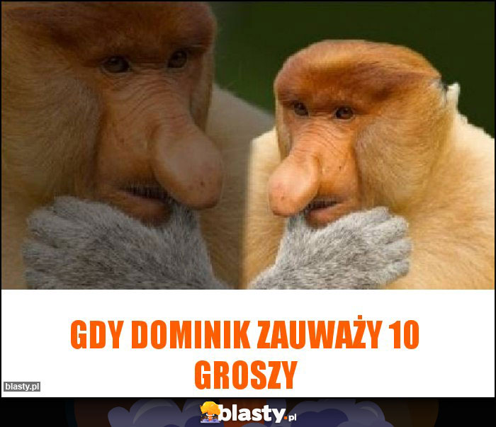 Gdy Dominik zauważy 10 groszy