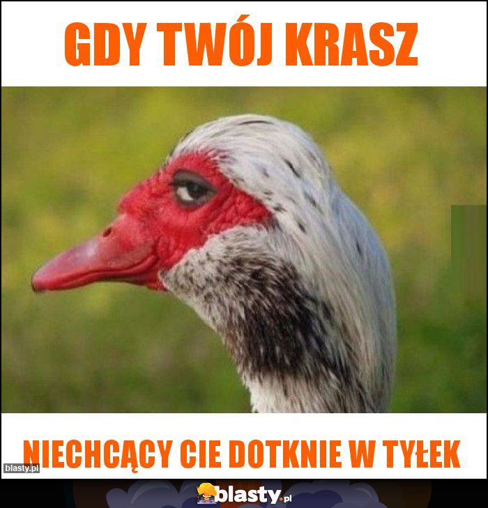 Gdy twój krasz