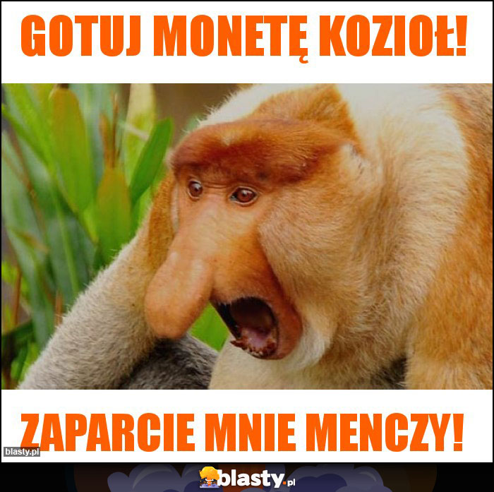 Gotuj monetę Kozioł!