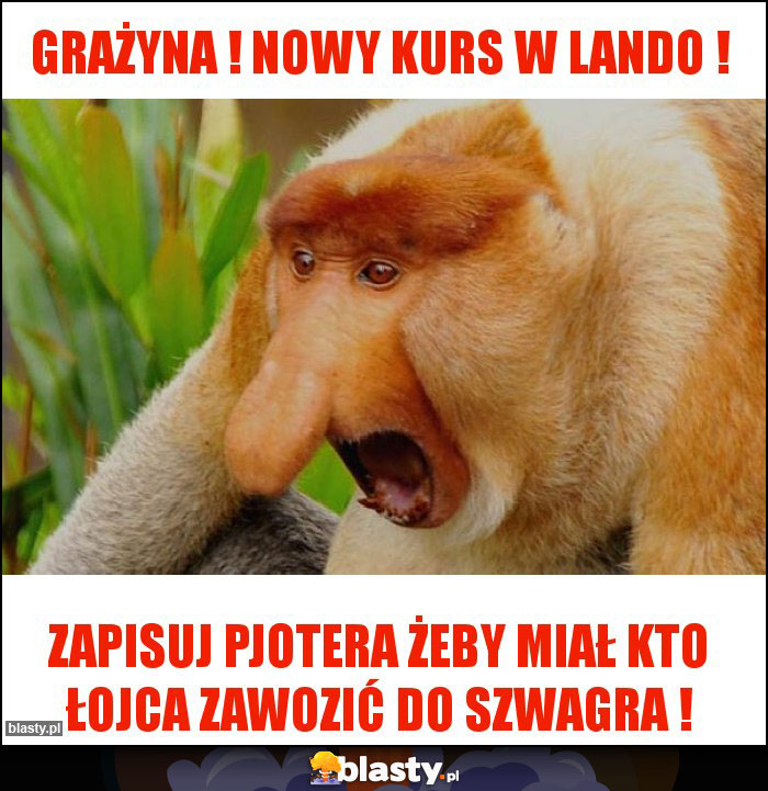 Grażyna ! NOWY KURS W LANDO !