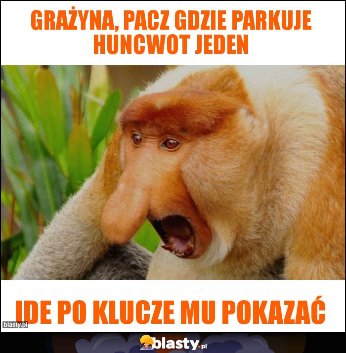 GRAŻYNA, PACZ GDZIE PARKUJE HUNCWOT JEDEN