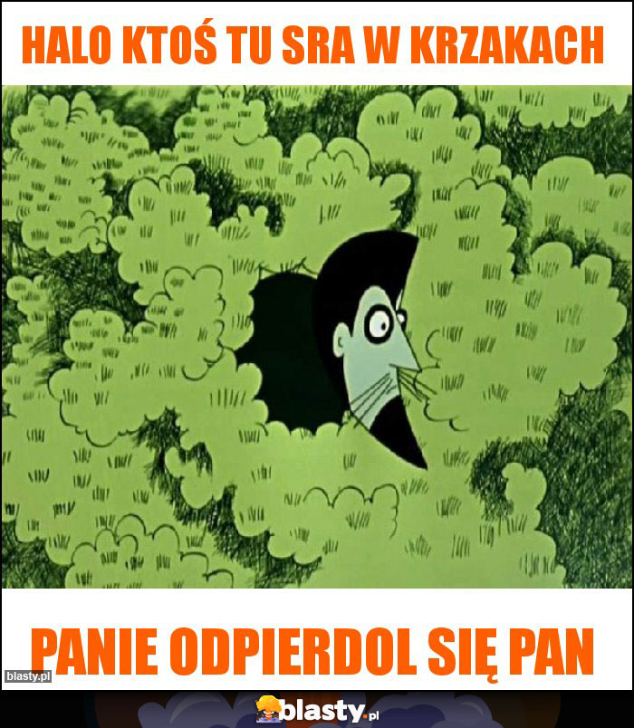 Halo ktoś tu sra w krzakach