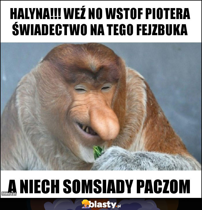 Halyna!!! Weź no wstof piotera świadectwo na tego fejzbuka
