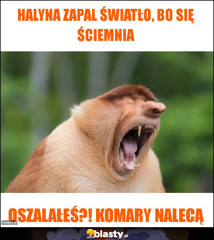 Halyna zapal światło, bo się ściemnia