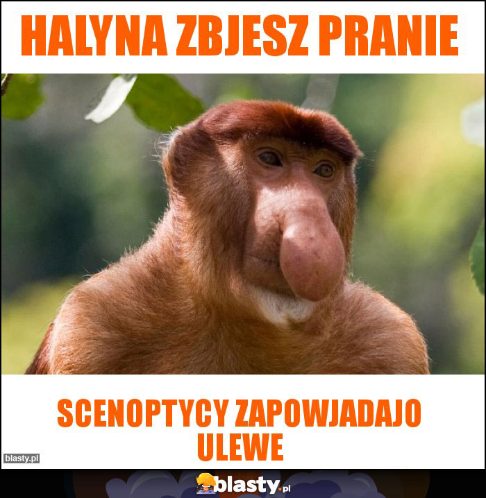 Halyna zbjesz pranie