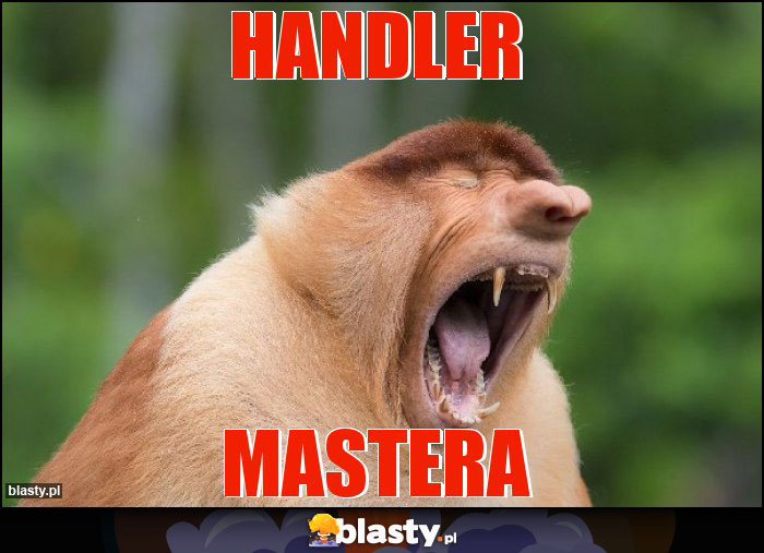 handler