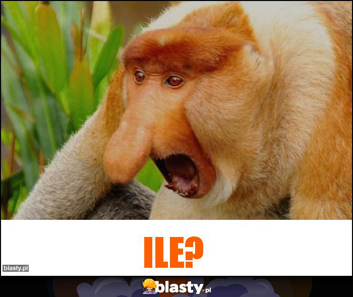 ILE?