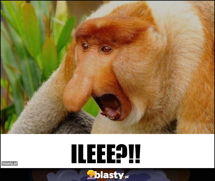Ileee?!!