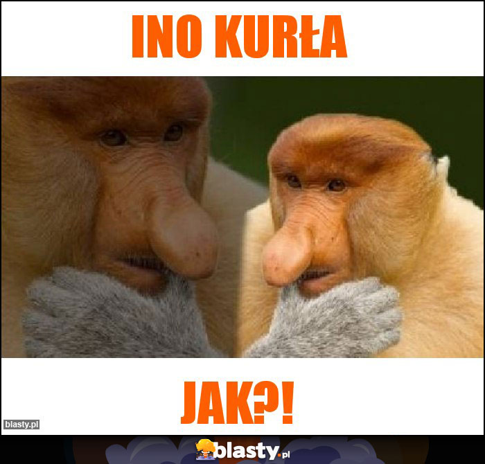 Ino kurła