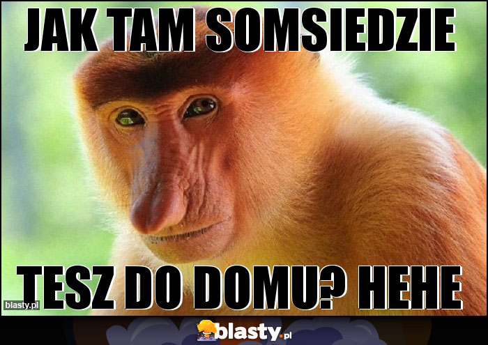 JAK TAM SOMSIEDZIE