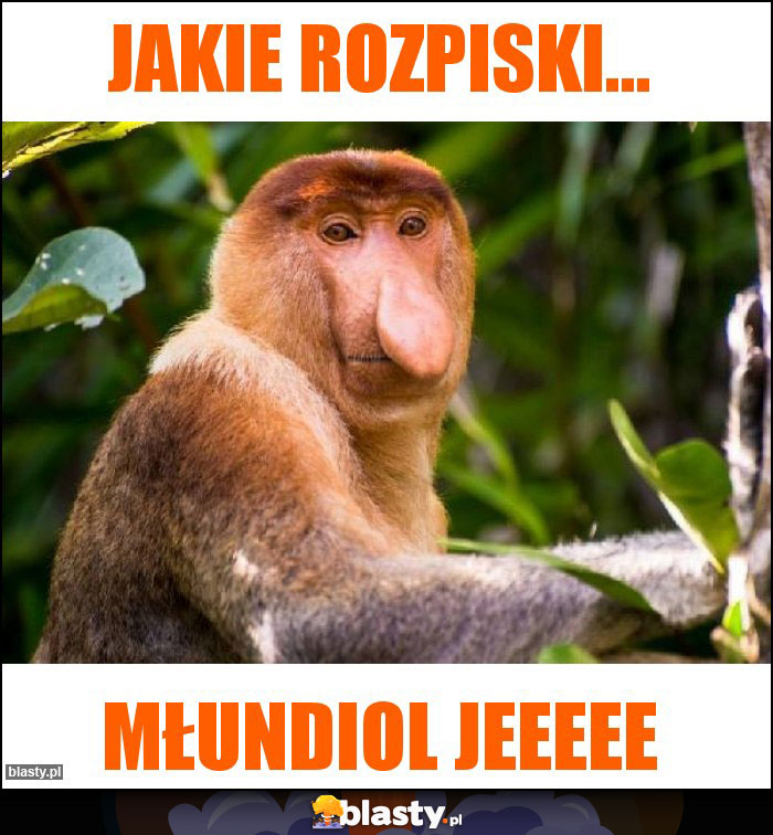 Jakie rozpiski...