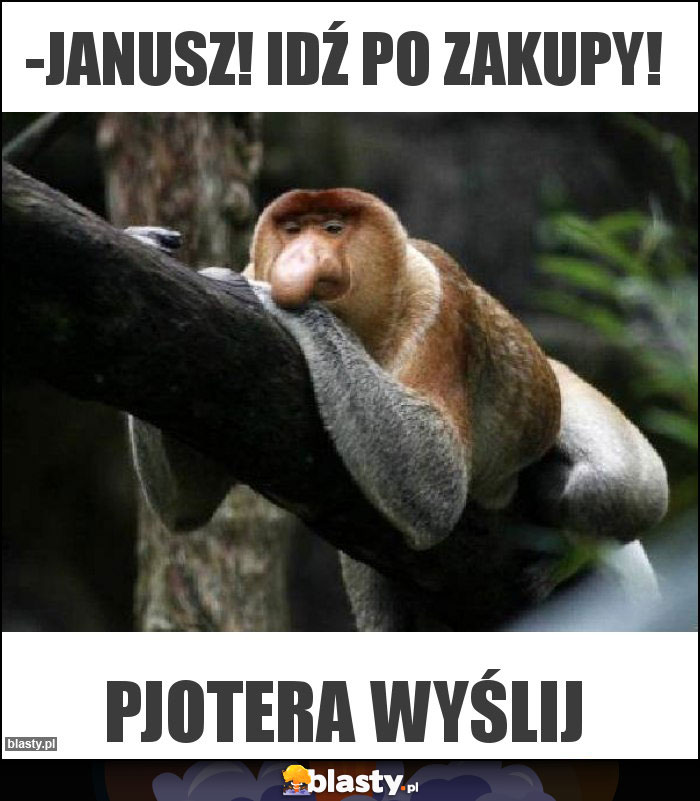 -janusz! idź po zakupy!