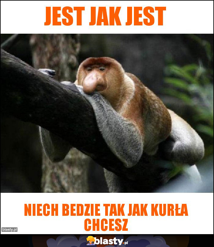 Jest jak jest